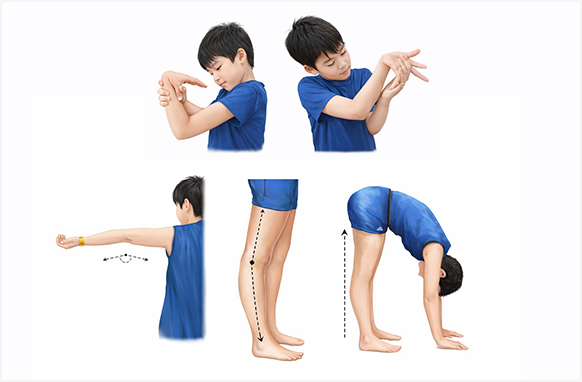 관절 유연성